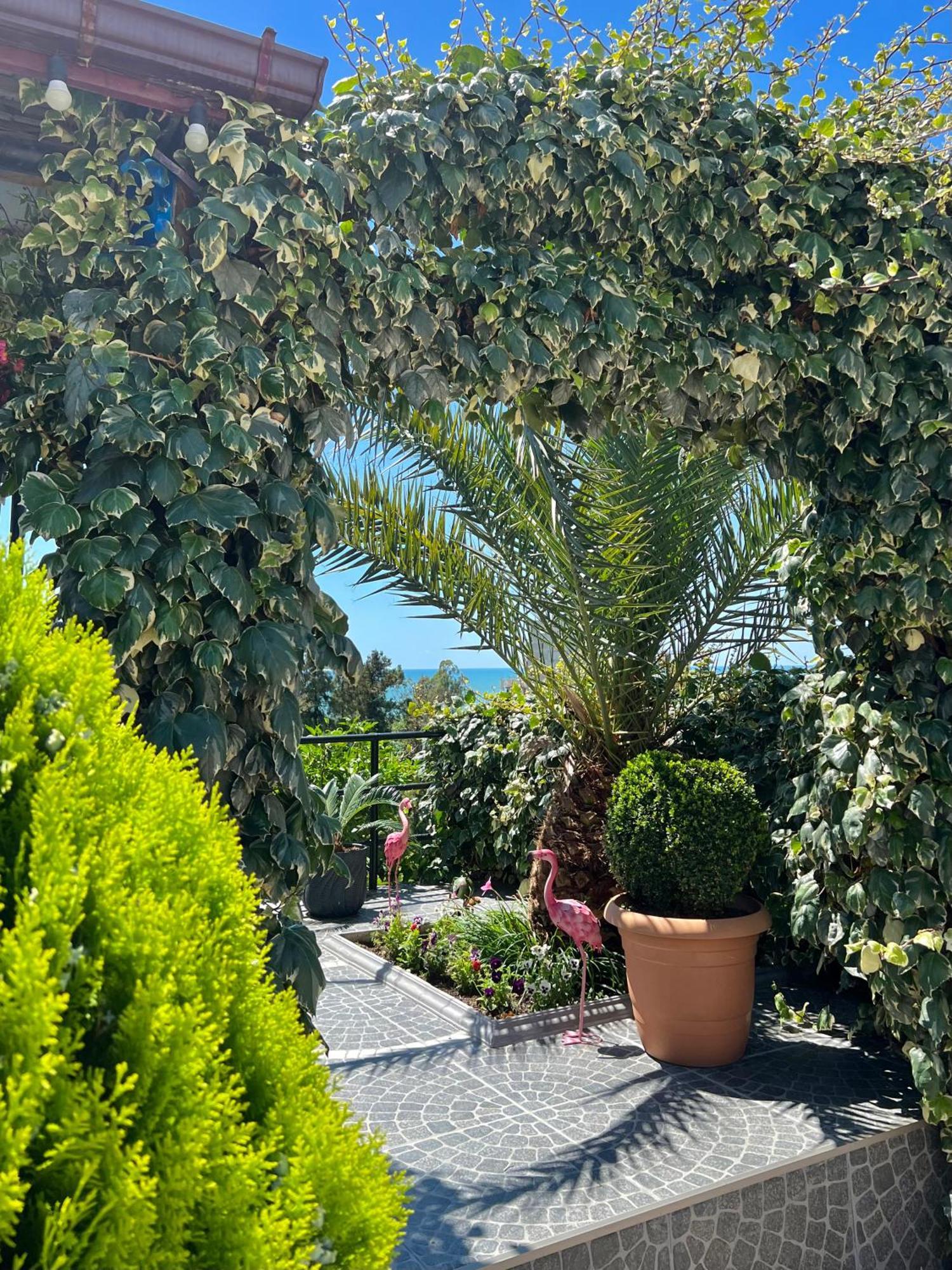巴统 Kemeni Garden酒店 外观 照片